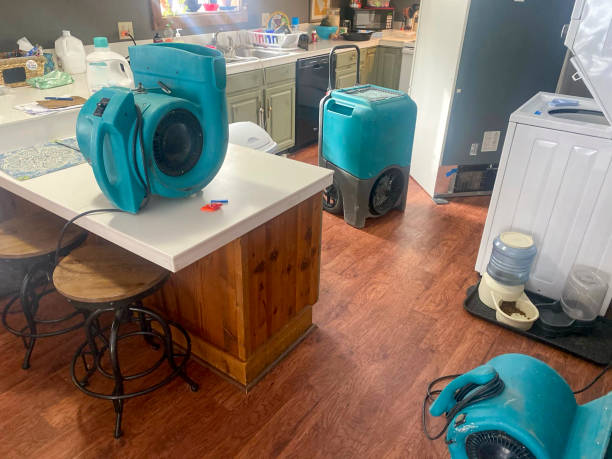 Best Carpet water damage restoration  in Dousman, WI