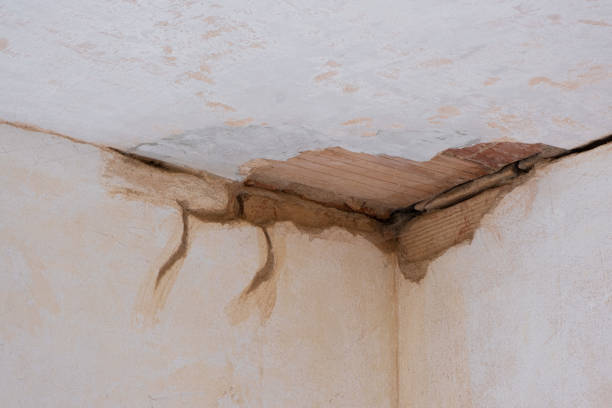 Best Flood damage cleanup  in Dousman, WI
