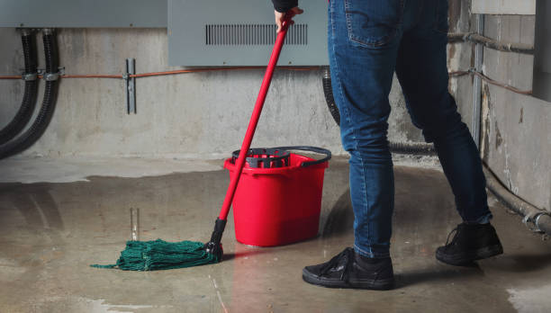 Best 24-hour water damage restoration  in Dousman, WI