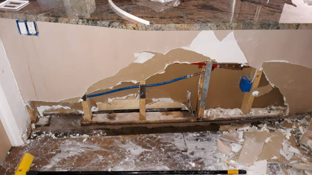 Best Ceiling water damage repair  in Dousman, WI