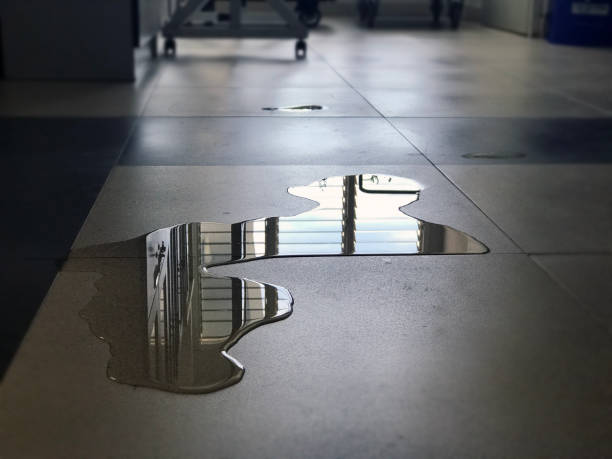 Best Water damage cleanup near me  in Dousman, WI