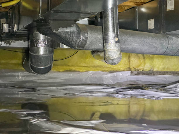 Best Water damage restoration near me  in Dousman, WI