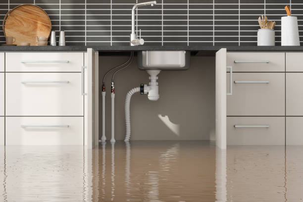 Best Water damage contractors near me  in Dousman, WI
