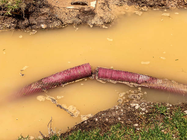 Best Commercial water damage restoration  in Dousman, WI