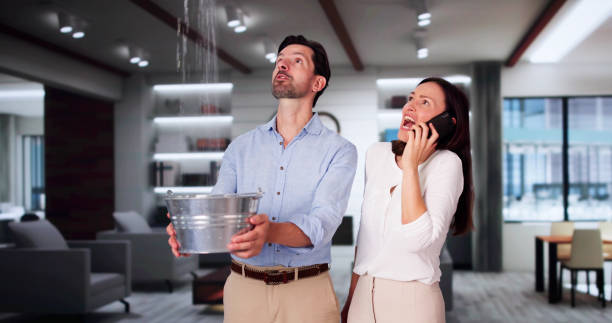 Best Water damage restoration specialists  in Dousman, WI